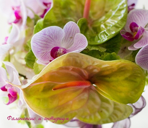 букет невесты из орхидей
