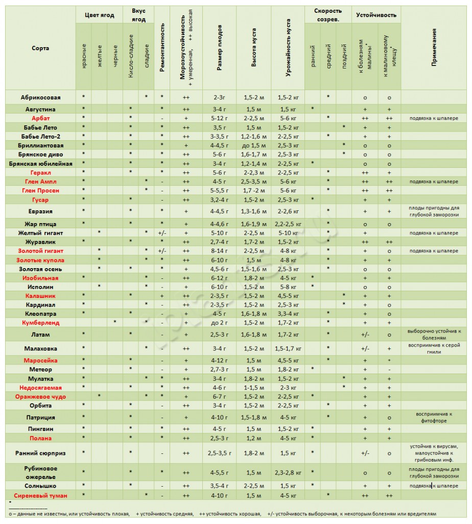 Схема подкормки голубики таблица