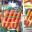 посев моркови под зиму