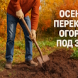 пепекопка огород