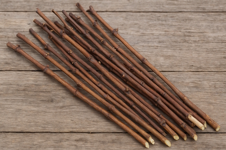 черенки винограда