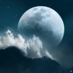 лунный календарь цветовода 2015