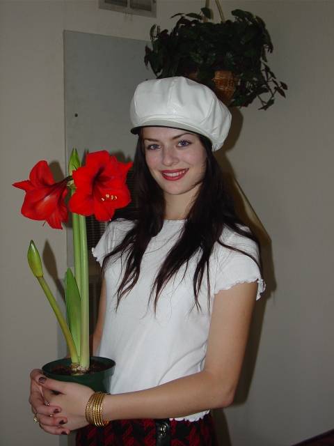 me and my hippeastrum