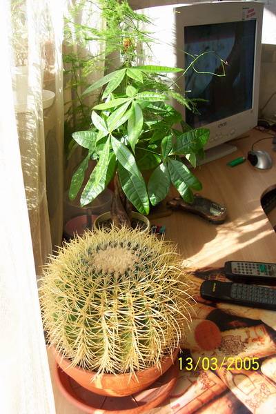 Рабочий стол :)