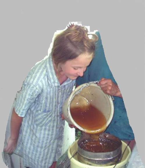 Фильтрация мёда